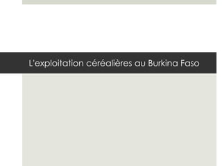 L'exploitation céréalières au Burkina Faso

 