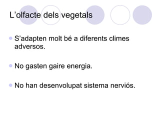 L’olfacte dels vegetals S’adapten molt bé a diferents climes adversos. No gasten gaire energia. No han desenvolupat sistema nerviós. 