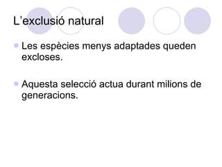 L’exclusió natural Les espècies menys adaptades queden excloses. Aquesta selecció actua durant milions de generacions. 