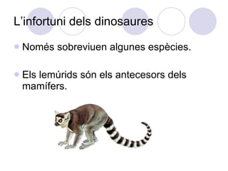 L’infortuni dels dinosaures Només sobreviuen algunes espècies. Els lemúrids són els antecesors dels mamífers. 