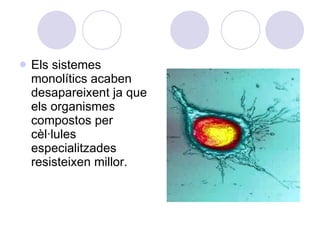 Els sistemes monolítics acaben desapareixent ja que els organismes compostos per cèl·lules especialitzades resisteixen millor. 
