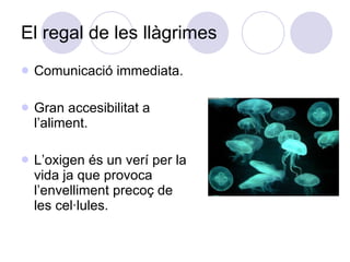 El regal de les llàgrimes Comunicació immediata. Gran accesibilitat a l’aliment. L’oxigen és un verí per la vida ja que provoca l’envelliment precoç de les cel·lules. 