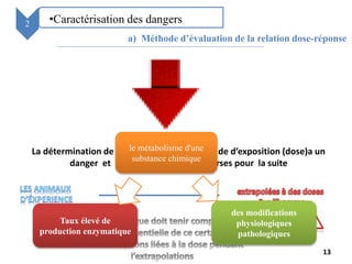 2 •Caractérisation des dangers
a) Méthode d’évaluation de la relation dose-réponse
La détermination de la relation entre le degré de d’exposition (dose)a un
danger et la gravité de effets adverses pour la suite
13
le métabolisme d'une
substance chimique
Taux élevé de
production enzymatique
des modifications
physiologiques
pathologiques
 