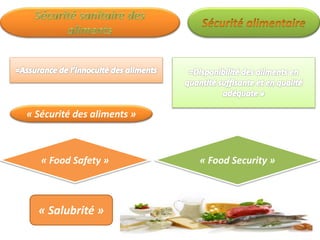 « Sécurité des aliments »
« Food Safety »
« Salubrité »
« Food Security »
 