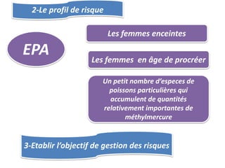 2-Le profil de risque
EPA
Les femmes enceintes
Les femmes en âge de procréer
Un petit nombre d’especes de
poissons particulières qui
accumulent de quantités
relativement importantes de
méthylmercure
3-Etablir l’objectif de gestion des risques
 