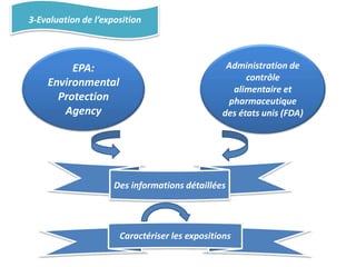 3-Evaluation de l’exposition
EPA:
Environmental
Protection
Agency
Administration de
contrôle
alimentaire et
pharmaceutique
des états unis (FDA)
Des informations détaillées
Caractériser les expositions
 