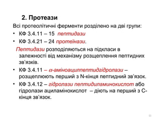 2. Протеази
Всі протеолітичні ферменти розділено на дві групи:
• КФ 3.4.11 – 15 пептидази
• КФ 3.4.21 – 24 протеїнази.
Пептидази розподіляються на підкласи в
залежності від механізму розщеплення пептидних
зв’язків.
• КФ 3.4.11 – α-аміноацилпептидгідролази –
розщеплюють перший з N-кінця пептидний зв’язок.
• КФ 3.4.12 – гідролази пептидиламинокислот або
гідролази ациламінокислот – діють на перший з С-
кінця зв’язок.
11
 