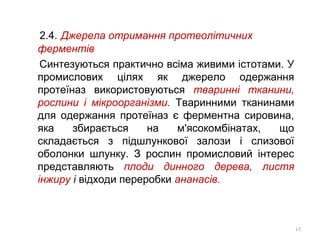 2.4. Джерела отримання протеолітичних
ферментів
Синтезуються практично всіма живими істотами. У
промислових цілях як джерело одержання
протеїназ використовуються тваринні тканини,
рослини і мікроорганізми. Тваринними тканинами
для одержання протеїназ є ферментна сировина,
яка збирається на м'ясокомбінатах, що
складається з підшлункової залози і слизової
оболонки шлунку. З рослин промисловий інтерес
представляють плоди динного дерева, листя
інжиру і відходи переробки ананасів.
17
 