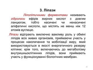 3. Ліпази
Ліполітичними ферментами називають
гідролази ефірів жирних кислот з довгим
ланцюгом, тобто насичені чи ненасичені
аліфатичні кислоти, що містять не менш ніж 12
атомів вуглецю.
Ліпази відіграють виключно важливу роль у обміні
ліпідів всіх живих організмів, приймаючи участь у
процесах накопичення та мобілізації жиру, який
використовується в якості енергетичного резерву
клітини; крім того, включаючись до метаболізму
внутришньоклітинних ліпідів, вони приймають
участь у функціонуванні біологічних мембран.
24
 