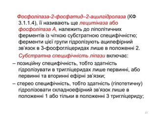 Фосфоліпаза-2-фосфатид–2-ацилгідролаза (КФ
3.1.1.4), її називають ще лецитіназа або
фосфоліпаза А, належить до ліполітичних
ферментів із чіткою субстратною специфічністю;
ферменти цієї групи гідролізують ацилефірний
зв’язок в 3-фосфогліцеридах лише в положенні 2.
Субстратна специфічність ліпази включає:
– позиційну специфічність, тобто здатність
гідролізувати в тригліцеридах лише первинні, або
первинні та вторинні ефірні зв’язки;
– стерео специфічність, тобто здатність (гіпотетичну)
гідролізовати складноефірний зв’язок лише в
положенні 1 або тільки в положенні 3 тригліцериду;
27
 