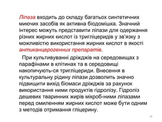 Ліпаза входить до складу багатьох синтетичних
миючих засобів як активна біодомішка. Значний
інтерес можуть представити ліпази для одержання
різних жирних кислот із тригліцеридів у зв’язку з
можливістю використання жирних кислот в якості
антиканцерогенних препаратів.
При культивуванні дріжджів на середовищах з
парафінами в клітинах та в середовищі
накопичують-ся тригліцериди. Внесення в
культуральну рідину ліпази дозволить значно
підвищити вихід біомаси дріжджів за рахунок
використання ними продуктів гідролізу. Гідроліз
дешевих тваринних жирів мікроб-ними ліпазами
перед омиленням жирних кислот може бути одним
з методів отримання гліцерину.
30
 