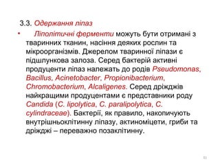 3.3. Одержання ліпаз
• Ліполітичні ферменти можуть бути отримані з
тваринних тканин, насіння деяких рослин та
мікроорганізмів. Джерелом тваринної ліпази є
підшлункова залоза. Серед бактерій активні
продуценти ліпаз належать до родів Pseudomonas,
Bacillus, Acinetobacter, Propionibacterium,
Chromobacterium, Alcaligenes. Серед дріжджів
найкращими продуцентами є представники роду
Candida (C. lipolytica, C. paralipolytica, C.
cylindraceae). Бактерії, як правило, накопичують
внутрішньоклітинну ліпазу, актиноміцети, гриби та
дріжджі – переважно позаклітинну.
31
 