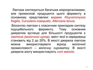Лактаза синтезується багатьма мікроорганізмами,
але промислові продуценти цього ферменту в
основному представлені видами Kluyveromyces
fragilis, Curvolaria inaequalis, Alternaria tenuis.
Біосинтез лактази є класичним прикладом синтезу
індуцибельного ферменту. Тому основним
джерелом вуглецю для більшості продуцентів є
лактоза (молочний цукор), вміст якої в середовищі
становить від 2 до 20%. В якості джерела лактози
можна використовувати відход молочної
промисловості – молочну сироватку. В якості
джерела азоту використовують солі амонію.
36
 