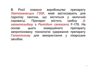 В Росії освоєно виробництво препарату
Лактоканесцин Г20Х, який застосовують для
гідролізу лактози, що міститься у молочній
сироватці. Препарат містить грибну β-
галактозидазу з Penicilium canescens F-178. На
основі цього комерційного препарату
запропоновану технологію одержання препарату
Галактозиму для використання у лікарських
засобах.
37
 