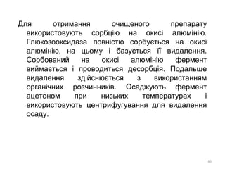 Для отримання очищеного препарату
використовують сорбцію на окисі алюмінію.
Глюкозооксидаза повністю сорбується на окисі
алюмінію, на цьому і базується її видалення.
Сорбований на окисі алюмінію фермент
виймається і проводиться десорбція. Подальше
видалення здійснюється з використанням
органічних розчинників. Осаджують фермент
ацетоном при низьких температурах і
використовують центрифугування для видалення
осаду.
40
 