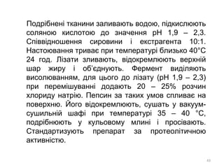 Подрібнені тканини заливають водою, підкислюють
соляною кислотою до значення рН 1,9 – 2,3.
Співвідношення сировини і екстрагента 10:1.
Настоювання триває при температурі близько 40°С
24 год. Лізати зливають, відокремлюють верхній
шар жиру і об’єднують. Фермент виділяють
висолюванням, для цього до лізату (рН 1,9 – 2,3)
при перемішуванні додають 20 – 25% розчин
хлориду натрію. Пепсин за таких умов спливає на
поверхню. Його відокремлюють, сушать у вакуум-
сушильній шафі при температурі 35 – 40 °С,
подрібнюють у кульовому млині і просівають.
Стандартизують препарат за протеолітичною
активністю.
43
 