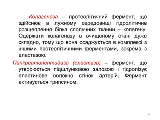 Колагеназа – протеолітичний фермент, що
здійснює в лужному середовищі гідролітичне
розщеплення білка сполучних тканин – колагену.
Одержати колагеназу в очищеному стані дуже
складно, тому що вона осаджується в комплексі з
іншими протеолітичними ферментами, зокрема з
еластазою.
Панкреатопептидаза (еластаза) – фермент, що
утворюється підшлунковою залозою і гідролізує
еластинове волокно стінок артерій. Фермент
активується трипсином.
49
 