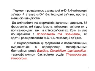 Фермент розщеплює залишкові α-D-1,4-глікозидні
зв’язки й атакує α-D-1,6-глікозидні зв’язки, проте з
меншою швидкістю.
До амілолітичних ферментів загалом належить 85
ферментів, які гідролізують глікозидні зв’язки як у
полісахаридах, так і в глікокон’югатах. Крім амілаз
поширеними є полюланази та ізоамілази, які
здатні розщеплювати α-D-1,6-глікозидні зв’язки.
У мікроорганізмів ці ферменти є позаклітинними
виділяються в середовище мезофільними
бактеріями родів Bacillus, Clostridium, Lactobacillus і
термофіль-ними бактеріями родів Thermococcus,
Pirococcus.
5
 