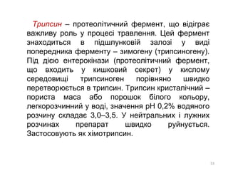 Трипсин – протеолітичний фермент, що відіграє
важливу роль у процесі травлення. Цей фермент
знаходиться в підшлунковій залозі у виді
попередника ферменту – зимогену (трипсиногену).
Під дією ентерокінази (протеолітичний фермент,
що входить у кишковий секрет) у кислому
середовищі трипсиноген порівняно швидко
перетворюється в трипсин. Трипсин кристалічний –
пориста маса або порошок білого кольору,
легкорозчинний у воді, значення рН 0,2% водяного
розчину складає 3,0–3,5. У нейтральних і лужних
розчинах препарат швидко руйнується.
Застосовують як хімотрипсин.
53
 