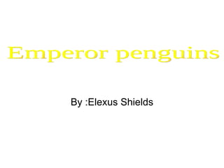 By :Elexus Shields Emperor penguins 