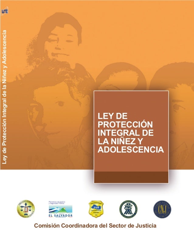 Ley de proteccion integral de la niñez y adolescencia el ...