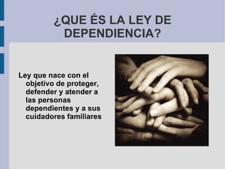 ¿Quién puede solicitarla? Requisitos