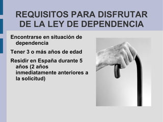 ¿Cuándo entrará en vigor? Calendario