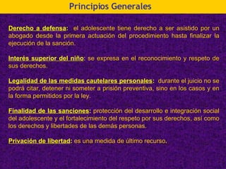 Principios Generales Derecho a defensa :   el adolescente tiene derecho a ser asistido por un abogado desde la primera actuación del procedimiento hasta finalizar la ejecución de la sanción. Interés superior del niño :  se expresa en el reconocimiento y respeto de sus derechos. Legalidad de las medidas cautelares personales :   durante el juicio no se podrá citar, detener ni someter a prisión preventiva, sino en los casos y en la forma permitidos por la ley. Finalidad de las sanciones :   protección del desarrollo e integración social del adolescente y el fortalecimiento del respeto por sus derechos, así como los derechos y libertades de las demás personas. Privación de libertad :   es una medida de último recurso . 