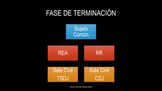FASE DE TERMINACIÓN
Alvaro Hernán Mejia Mejia
Sujeto
Común
REA
Sala Civil
TSDJ
RR
Sala Civil
CSJ
 