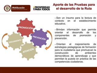 Aporte de las Pruebas para 
el desarrollo de la Ruta 
- Son un insumo para la lectura de 
contexto en el establecimiento 
educativo. 
- Brindan información que permite 
orientar el desarrollo de los 
componentes de promoción y 
prevención. 
- Orientan el mejoramiento de 
estrategias pedagógicas de formación 
para la ciudadanía que promuevan la 
construcción de ambientes 
democráticos de aprendizaje y que 
permitan la puesta en práctica de las 
competencias ciudadanas. 
 