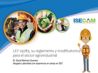 LEY 29783, su reglamento y modificatorios
para el sector agroindustrial
Dr. David Martinez Guerrero
Abogado Laboralista con experiencia en campo en SST
 
