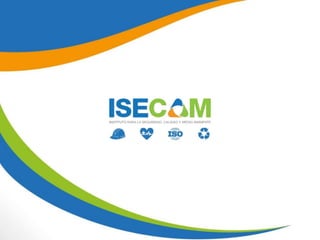 Ley 29783 ALCANCES E INTERPRETACION ----