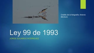 Ley 99 de 1993
JORGE EDUARDO RODRIGUEZ
Crédito de la fotografía: Antonio
Montuno
 
