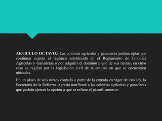 ARTICULO OCTAVO.- Las colonias agrícolas y ganaderas podrán optar por
continuar sujetas al régimen establecido en el Reglamento de Colonias
Agrícolas y Ganaderas o por adquirir el dominio pleno de sus tierras, en cuyo
caso se regirán por la legislación civil de la entidad en que se encuentren
ubicadas.
En un plazo de seis meses contado a partir de la entrada en vigor de esta ley, la
Secretaría de la Reforma Agraria notificará a las colonias agrícolas y ganaderas
que podrán ejercer la opción a que se refiere el párrafo anterior.

 