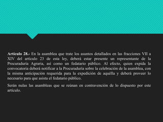 Artículo 28.- En la asamblea que trate los asuntos detallados en las fracciones VII a
XIV del artículo 23 de esta ley, deberá estar presente un representante de la
Procuraduría Agraria, así como un fedatario público. Al efecto, quien expida la
convocatoria deberá notificar a la Procuraduría sobre la celebración de la asamblea, con
la misma anticipación requerida para la expedición de aquélla y deberá proveer lo
necesario para que asista el fedatario público.
Serán nulas las asambleas que se reúnan en contravención de lo dispuesto por este
artículo.

 