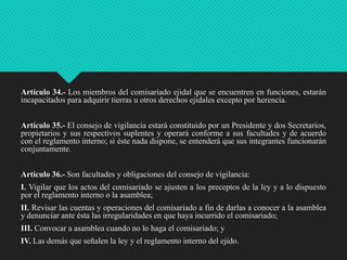 Artículo 34.- Los miembros del comisariado ejidal que se encuentren en funciones, estarán
incapacitados para adquirir tierras u otros derechos ejidales excepto por herencia.
Artículo 35.- El consejo de vigilancia estará constituido por un Presidente y dos Secretarios,
propietarios y sus respectivos suplentes y operará conforme a sus facultades y de acuerdo
con el reglamento interno; si éste nada dispone, se entenderá que sus integrantes funcionarán
conjuntamente.
Artículo 36.- Son facultades y obligaciones del consejo de vigilancia:
I. Vigilar que los actos del comisariado se ajusten a los preceptos de la ley y a lo dispuesto
por el reglamento interno o la asamblea;
II. Revisar las cuentas y operaciones del comisariado a fin de darlas a conocer a la asamblea
y denunciar ante ésta las irregularidades en que haya incurrido el comisariado;
III. Convocar a asamblea cuando no lo haga el comisariado; y
IV. Las demás que señalen la ley y el reglamento interno del ejido.

 