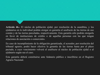 Artículo 46.- El núcleo de población ejidal, por resolución de la asamblea, y los
ejidatarios en lo individual podrán otorgar en garantía el usufructo de las tierras de uso
común y de las tierras parceladas, respectivamente. Esta garantía sólo podrán otorgarla
en favor de instituciones de crédito o de aquellas personas con las que tengan
relaciones de asociación o comerciales.
En caso de incumplimiento de la obligación garantizada, el acreedor, por resolución del
tribunal agrario, podrá hacer efectiva la garantía de las tierras hasta por el plazo
pactado, a cuyo vencimiento volverá el usufructo al núcleo de población ejidal o al
ejidatario según sea el caso.
Esta garantía deberá constituirse ante fedatario público e inscribirse en el Registro
Agrario Nacional.

 