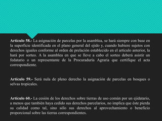 Artículo 58.- La asignación de parcelas por la asamblea, se hará siempre con base en
la superficie identificada en el plano general del ejido y, cuando hubiere sujetos con
derechos iguales conforme al orden de prelación establecido en el artículo anterior, la
hará por sorteo. A la asamblea en que se lleve a cabo el sorteo deberá asistir un
fedatario o un representante de la Procuraduría Agraria que certifique el acta
correspondiente.

Artículo 59.- Será nula de pleno derecho la asignación de parcelas en bosques o
selvas tropicales.

Artículo 60.- La cesión de los derechos sobre tierras de uso común por un ejidatario,
a menos que también haya cedido sus derechos parcelarios, no implica que éste pierda
su calidad como tal, sino sólo sus derechos al aprovechamiento o beneficio
proporcional sobre las tierras correspondientes.

 