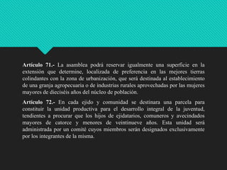 Artículo 71.- La asamblea podrá reservar igualmente una superficie en la
extensión que determine, localizada de preferencia en las mejores tierras
colindantes con la zona de urbanización, que será destinada al establecimiento
de una granja agropecuaria o de industrias rurales aprovechadas por las mujeres
mayores de dieciséis años del núcleo de población.
Artículo 72.- En cada ejido y comunidad se destinara una parcela para
constituir la unidad productiva para el desarrollo integral de la juventud,
tendientes a procurar que los hijos de ejidatarios, comuneros y avecindados
mayores de catorce y menores de veintinueve años. Esta unidad será
administrada por un comité cuyos miembros serán designados exclusivamente
por los integrantes de la misma.

 