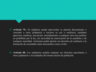  Artículo 79.- El ejidatario puede aprovechar su parcela directamente o
conceder a otros ejidatarios o terceros su uso o usufructo, mediante
aparcería, mediería, asociación, arrendamiento o cualquier otro acto jurídico
no prohibido por la ley, sin necesidad de autorización de la asamblea o de
cualquier autoridad. Asimismo podrá aportar sus derechos de usufructo a la
formación de sociedades tanto mercantiles como civiles.

 Artículo 80. Los ejidatarios podrán enajenar sus derechos parcelarios a
otros ejidatarios o avecindados del mismo núcleo de población.

 