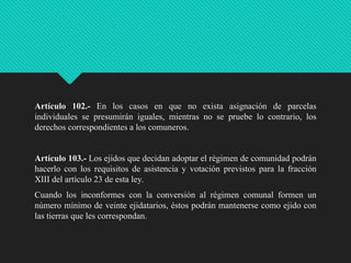 Artículo 102.- En los casos en que no exista asignación de parcelas
individuales se presumirán iguales, mientras no se pruebe lo contrario, los
derechos correspondientes a los comuneros.

Artículo 103.- Los ejidos que decidan adoptar el régimen de comunidad podrán
hacerlo con los requisitos de asistencia y votación previstos para la fracción
XIII del artículo 23 de esta ley.
Cuando los inconformes con la conversión al régimen comunal formen un
número mínimo de veinte ejidatarios, éstos podrán mantenerse como ejido con
las tierras que les correspondan.

 