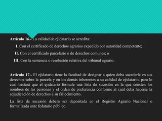 Artículo 16.- La calidad de ejidatario se acredita:
I. Con el certificado de derechos agrarios expedido por autoridad competente;
II. Con el certificado parcelario o de derechos comunes; o
III. Con la sentencia o resolución relativa del tribunal agrario.

Artículo 17.- El ejidatario tiene la facultad de designar a quien deba sucederle en sus
derechos sobre la parcela y en los demás inherentes a su calidad de ejidatario, para lo
cual bastará que el ejidatario formule una lista de sucesión en la que consten los
nombres de las personas y el orden de preferencia conforme al cual deba hacerse la
adjudicación de derechos a su fallecimiento.
La lista de sucesión deberá ser depositada en el Registro Agrario Nacional o
formalizada ante fedatario público.

 