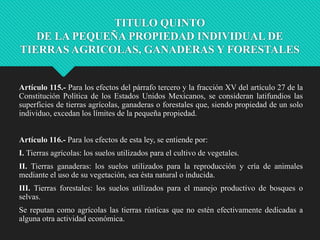 TITULO QUINTO
DE LA PEQUEÑA PROPIEDAD INDIVIDUAL DE
TIERRAS AGRICOLAS, GANADERAS Y FORESTALES

Artículo 115.- Para los efectos del párrafo tercero y la fracción XV del artículo 27 de la
Constitución Política de los Estados Unidos Mexicanos, se consideran latifundios las
superficies de tierras agrícolas, ganaderas o forestales que, siendo propiedad de un solo
individuo, excedan los límites de la pequeña propiedad.
Artículo 116.- Para los efectos de esta ley, se entiende por:
I. Tierras agrícolas: los suelos utilizados para el cultivo de vegetales.
II. Tierras ganaderas: los suelos utilizados para la reproducción y cría de animales
mediante el uso de su vegetación, sea ésta natural o inducida.

III. Tierras forestales: los suelos utilizados para el manejo productivo de bosques o
selvas.
Se reputan como agrícolas las tierras rústicas que no estén efectivamente dedicadas a
alguna otra actividad económica.

 