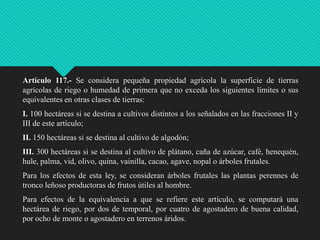 Artículo 117.- Se considera pequeña propiedad agrícola la superficie de tierras
agrícolas de riego o humedad de primera que no exceda los siguientes límites o sus
equivalentes en otras clases de tierras:
I. 100 hectáreas si se destina a cultivos distintos a los señalados en las fracciones II y
III de este artículo;
II. 150 hectáreas si se destina al cultivo de algodón;

III. 300 hectáreas si se destina al cultivo de plátano, caña de azúcar, café, henequén,
hule, palma, vid, olivo, quina, vainilla, cacao, agave, nopal o árboles frutales.
Para los efectos de esta ley, se consideran árboles frutales las plantas perennes de
tronco leñoso productoras de frutos útiles al hombre.
Para efectos de la equivalencia a que se refiere este artículo, se computará una
hectárea de riego, por dos de temporal, por cuatro de agostadero de buena calidad,
por ocho de monte o agostadero en terrenos áridos.

 