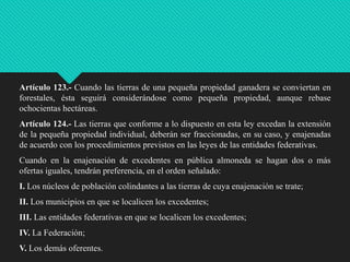 Artículo 123.- Cuando las tierras de una pequeña propiedad ganadera se conviertan en
forestales, ésta seguirá considerándose como pequeña propiedad, aunque rebase
ochocientas hectáreas.
Artículo 124.- Las tierras que conforme a lo dispuesto en esta ley excedan la extensión
de la pequeña propiedad individual, deberán ser fraccionadas, en su caso, y enajenadas
de acuerdo con los procedimientos previstos en las leyes de las entidades federativas.
Cuando en la enajenación de excedentes en pública almoneda se hagan dos o más
ofertas iguales, tendrán preferencia, en el orden señalado:
I. Los núcleos de población colindantes a las tierras de cuya enajenación se trate;

II. Los municipios en que se localicen los excedentes;
III. Las entidades federativas en que se localicen los excedentes;
IV. La Federación;
V. Los demás oferentes.

 