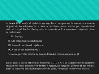 Artículo 18.- Cuando el ejidatario no haya hecho designación de sucesores, o cuando
ninguno de los señalados en la lista de herederos pueda heredar por imposibilidad
material o legal, los derechos agrarios se transmitirán de acuerdo con el siguiente orden
de preferencia:
I. Al cónyuge;
II. A la concubina o concubinario;
III. A uno de los hijos del ejidatario;

IV. A uno de sus ascendientes; y
V. A cualquier otra persona de las que dependan económicamente de él.

En los casos a que se refieren las fracciones III, IV y V, si al fallecimiento del ejidatario
resultan dos o más personas con derecho a heredar, los herederos gozarán de tres meses a
partir de la muerte del ejidatario para decidir quién, conservará los derechos ejidales.

 