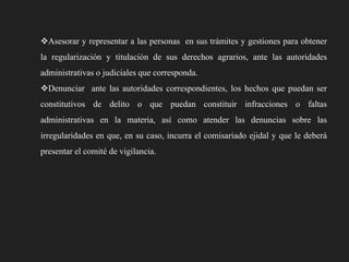 Asesorar y representar a las personas en sus trámites y gestiones para obtener
la regularización y titulación de sus derechos agrarios, ante las autoridades
administrativas o judiciales que corresponda.
Denunciar ante las autoridades correspondientes, los hechos que puedan ser
constitutivos de delito o que puedan constituir infracciones o faltas
administrativas en la materia, así como atender las denuncias sobre las
irregularidades en que, en su caso, incurra el comisariado ejidal y que le deberá
presentar el comité de vigilancia.

 