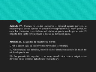 Artículo 19.- Cuando no existan sucesores, el tribunal agrario proveerá lo
necesario para que se vendan los derechos correspondientes al mejor postor, de
entre los ejidatarios y avecindados del núcleo de población de que se trate. El
importe de la venta corresponderá al núcleo de población ejidal.
Artículo 20.- La calidad de ejidatario se pierde:
I. Por la cesión legal de sus derechos parcelarios y comunes;
II. Por renuncia a sus derechos, en cuyo caso se entenderán cedidos en favor del
núcleo de población;
III. Por prescripción negativa, en su caso, cuando otra persona adquiera sus
derechos en los términos del artículo 48 de esta ley.

 