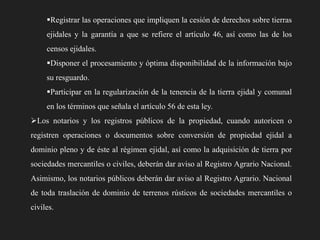 Registrar las operaciones que impliquen la cesión de derechos sobre tierras
ejidales y la garantía a que se refiere el artículo 46, así como las de los
censos ejidales.

Disponer el procesamiento y óptima disponibilidad de la información bajo
su resguardo.
Participar en la regularización de la tenencia de la tierra ejidal y comunal
en los términos que señala el artículo 56 de esta ley.
Los notarios y los registros públicos de la propiedad, cuando autoricen o
registren operaciones o documentos sobre conversión de propiedad ejidal a
dominio pleno y de éste al régimen ejidal, así como la adquisición de tierra por
sociedades mercantiles o civiles, deberán dar aviso al Registro Agrario Nacional.
Asimismo, los notarios públicos deberán dar aviso al Registro Agrario. Nacional
de toda traslación de dominio de terrenos rústicos de sociedades mercantiles o
civiles.

 