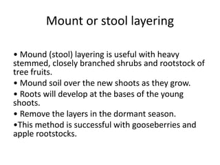 Mount or stool layering
• Mound (stool) layering is useful with heavy
stemmed, closely branched shrubs and rootstock of
tree fruits.
• Mound soil over the new shoots as they grow.
• Roots will develop at the bases of the young
shoots.
• Remove the layers in the dormant season.
•This method is successful with gooseberries and
apple rootstocks.
 